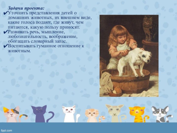 Задачи проекта:Уточнить представления детей о домашних животных, их внешнем виде, какие