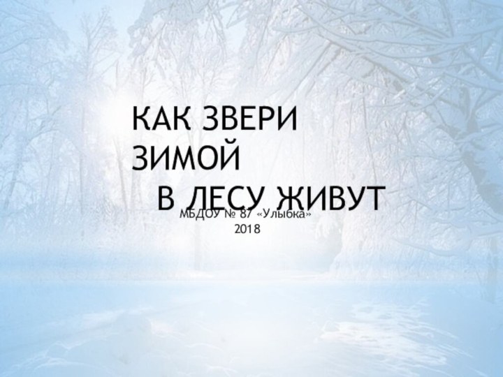 КАК ЗВЕРИ ЗИМОЙ В ЛЕСУ ЖИВУТМБДОУ № 87 «Улыбка»2018