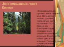 Презентация Power Point Природные зоны России часть 2 презентация к уроку по окружающему миру (4 класс)