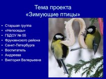 Методическая разработка:Технология реализации проекта - презентация Зимующие птицы методическая разработка (старшая группа)