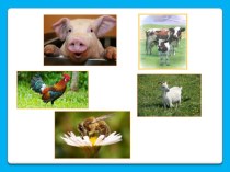 презентация по окружающему миру Животноводство 3 класс презентация к уроку по окружающему миру (3 класс)