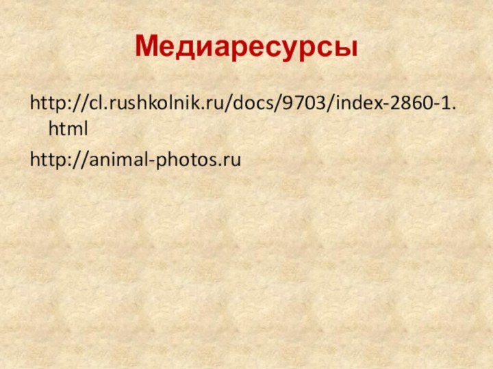 Медиаресурсыhttp://cl.rushkolnik.ru/docs/9703/index-2860-1.htmlhttp://animal-photos.ru