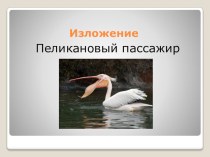 Презентация . Изложение Пеликановый пассажир презентация к уроку (русский язык, 4 класс) по теме