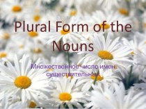 Plural Form of the Nouns (множественное число имен существительных) презентация к уроку по иностранному языку (4 класс) по теме
