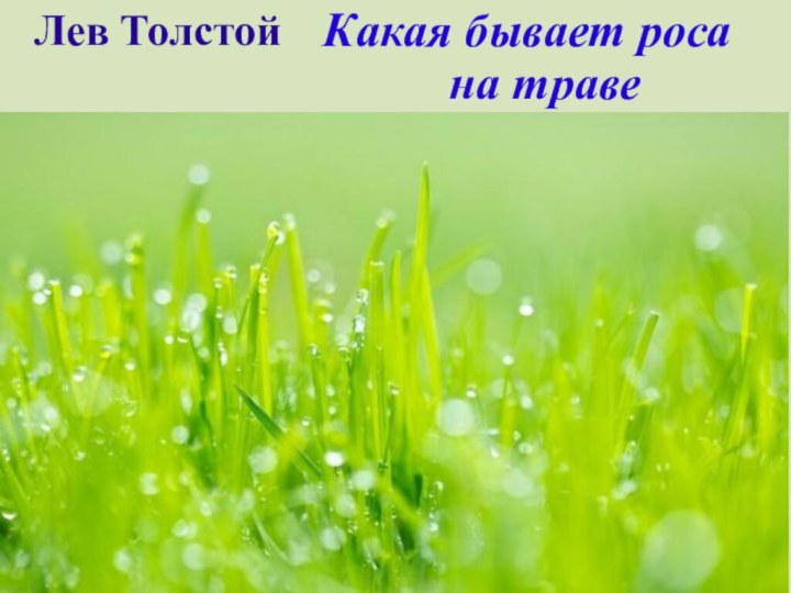 Лев Толстой      Какая бывает роса  на траве