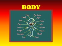 разработка урока по теме parts of body презентация к уроку по иностранному языку (1 класс)