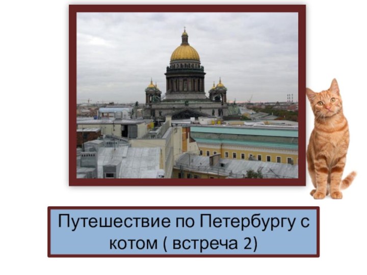 Путешествие по Петербургу с котом ( встреча 2)