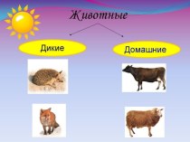 Презентация дикие и домашние животные. презентация к уроку по окружающему миру (средняя группа)