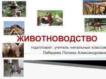 Презентация Животноводство презентация урока для интерактивной доски по окружающему миру (2 класс)