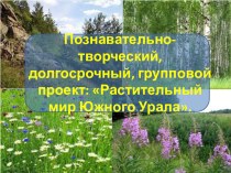 Познавательно-творческий , групповой проект Растительный мир Южного Урала проект (старшая группа) по теме