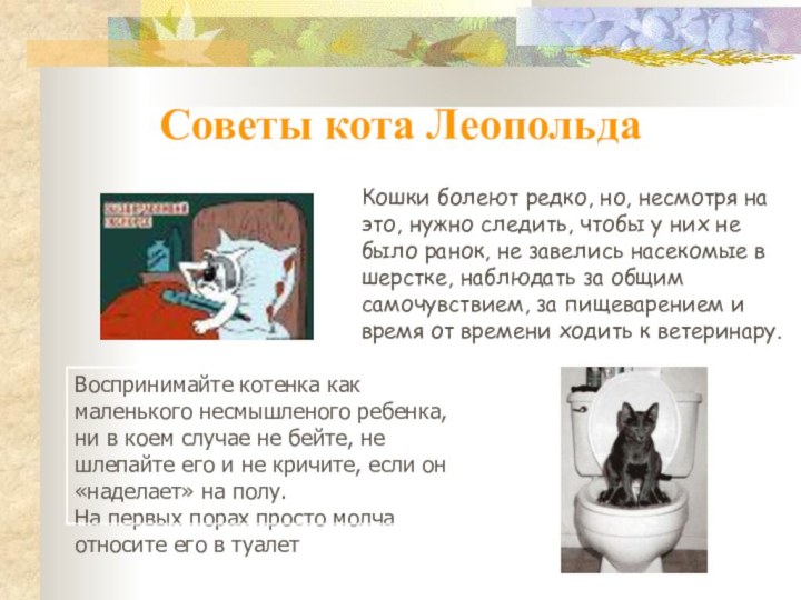 Советы кота ЛеопольдаКошки болеют редко, но, несмотря на это, нужно следить, чтобы