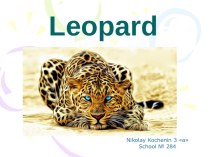 Млекопитающие-леопард