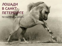 внеклассное мероприятие Лошади в Санкт-Петербурге план-конспект занятия (2 класс) по теме