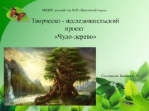 проект Чудо -дерево проект по окружающему миру (старшая группа)