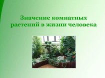 Значение комнатных растений в жизни человека презентация к уроку (старшая группа)