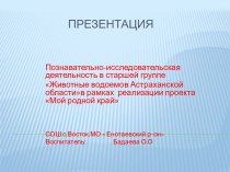 Презентация Животные водоемов Астраханской области презентация к уроку (подготовительная группа)