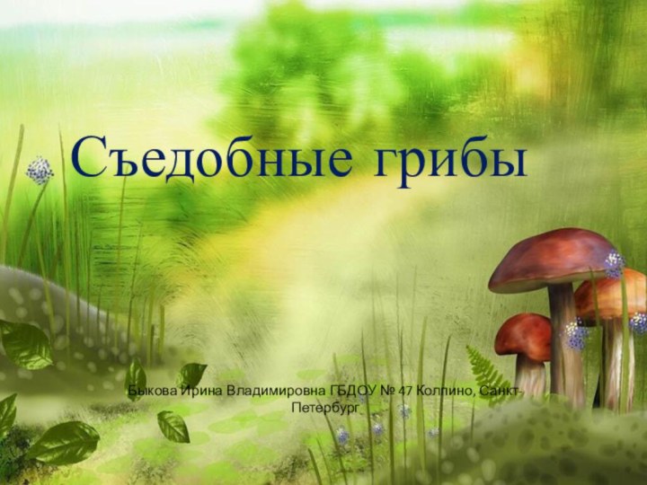 Съедобные грибыБыкова Ирина Владимировна ГБДОУ № 47 Колпино, Санкт-Петербург