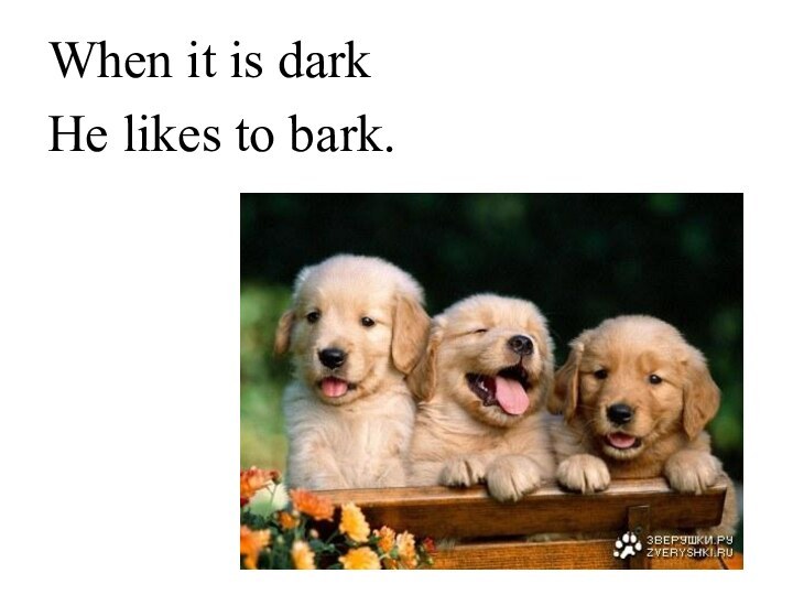 When it is darkHe likes to bark.