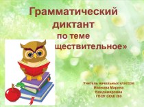 Грамматический диктант по теме Имя существительное презентация урока для интерактивной доски по русскому языку (4 класс)