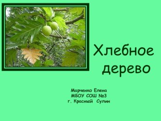Растительный мир: Хлебное дерево презентация к уроку по окружающему миру (4 класс)
