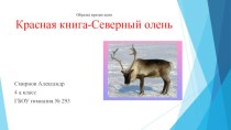 Красная книга-Северный олень презентация к уроку по окружающему миру (4 класс) по теме