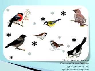 Презентация Зимующие птицы. презентация к уроку по окружающему миру (младшая группа)