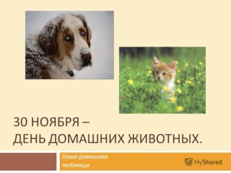 Презентация Домашние животные презентация урока для интерактивной доски по окружающему миру (средняя группа)