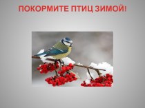 Проект Покормите птиц зимой проект по окружающему миру (младшая группа)