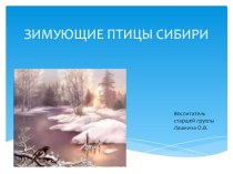 Зимующие птицы Сибири презентация к уроку по окружающему миру (старшая группа)