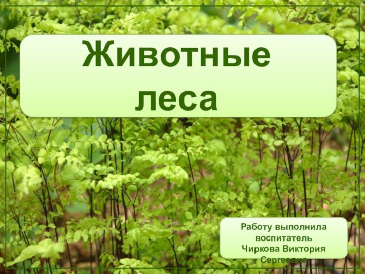 Животные лесаРаботу выполнилавоспитательЧиркова Виктория Сергеевна