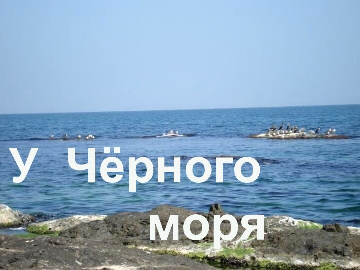 У Чёрного  						моря