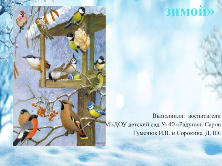Экологическая акция  «Покормите птиц зимой» Выполнили: воспитатели  МБДОУ детский сад № 40