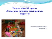 Педагогический проект Сенсорное развитие детей раннего возраста проект (младшая группа)
