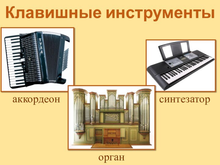 Клавишные инструментыаккордеонсинтезаторорган