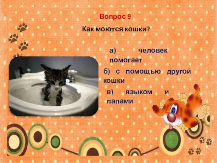 Вопрос 9 Как моются кошки?а) человек помогаетб) с помощью другой кошкив) языком и лапами