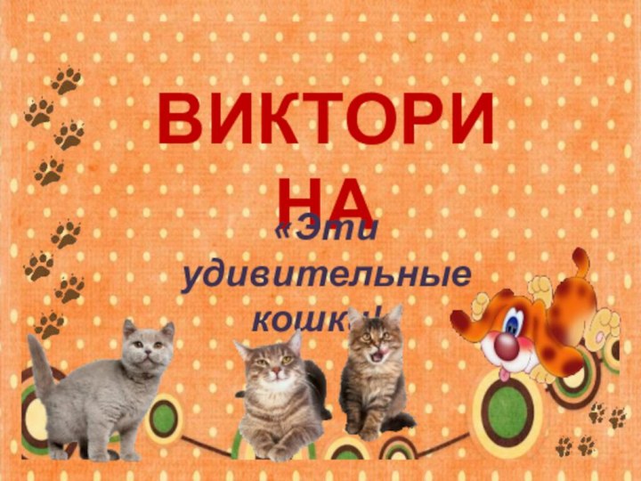 ВИКТОРИНА«Эти удивительные кошки!»
