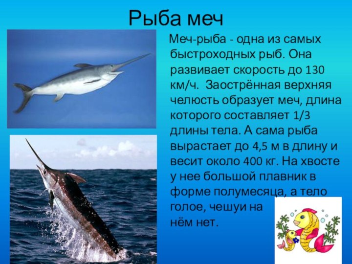 Рыба меч  Меч-рыба - одна из самых быстроходных рыб. Она развивает
