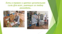 Презентация Зеленая аптека презентация к уроку (подготовительная группа)