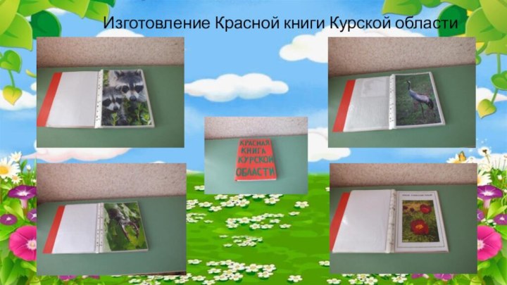 Изготовление Красной книги Курской области