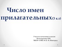 Число имен прилагательных 3 класс презентация к уроку по русскому языку (3 класс)