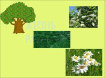 Презентация Жизнь растений презентация к уроку по окружающему миру (3 класс) по теме