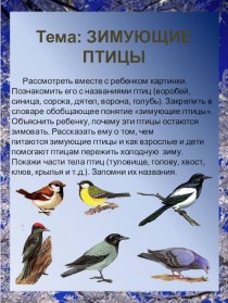 зимующие птицы презентация к занятию по логопедии (старшая группа) по теме