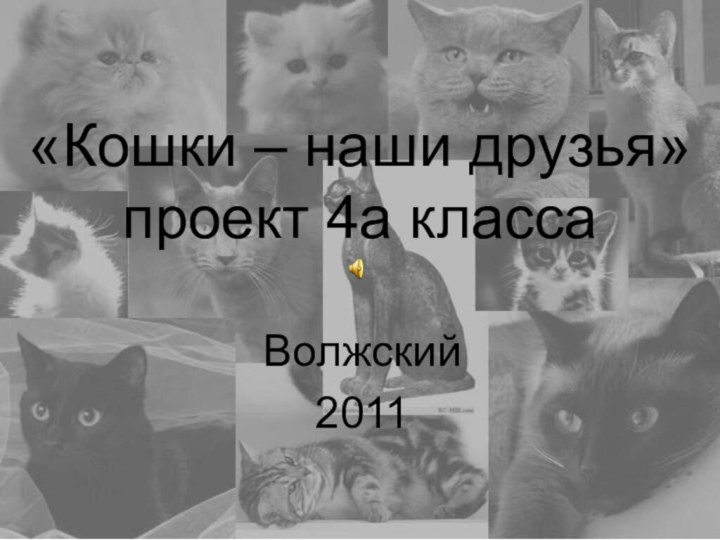 «Кошки – наши друзья» проект 4а классаВолжский2011