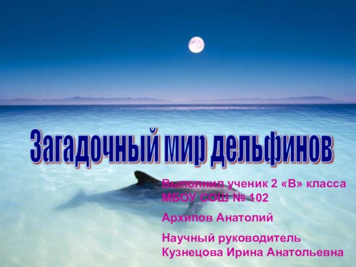 Загадочный мир дельфинов Выполнил ученик 2 «В» класса МБОУ СОШ № 102Архипов