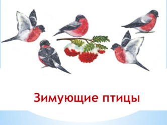Зимующие птицы презентация к занятию (окружающий мир, старшая группа) по теме