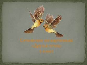 Презентация к сочинению Друзья птиц. презентация к уроку по русскому языку (2 класс)