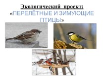 проект Перелётные и Зимующие птицы презентация к уроку по окружающему миру (старшая группа)