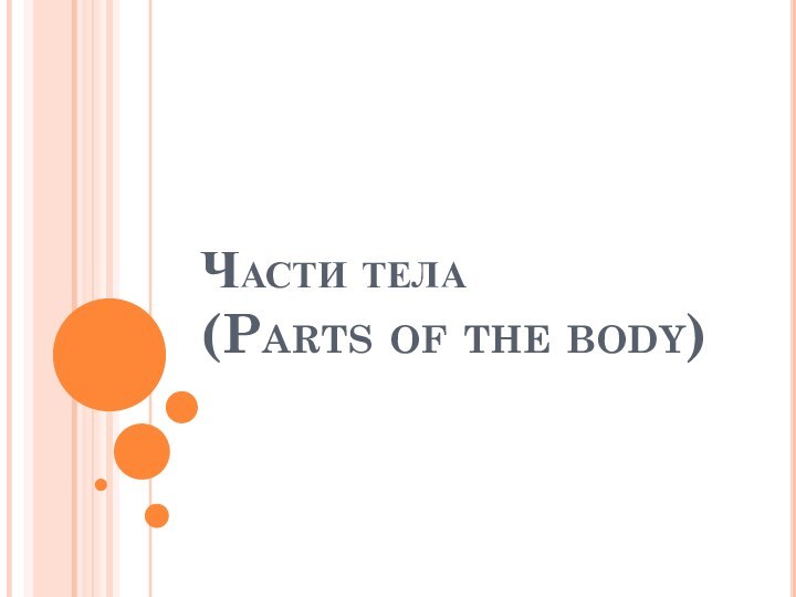 Части тела  (Parts of the body)