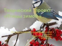 Творческий проект Зимние птицы проект по окружающему миру (младшая группа)