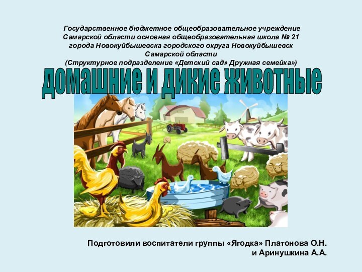 домашние и дикие животныеПодготовили воспитатели группы «Ягодка» Платонова О.Н. и Аринушкина
